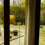 Guest house Iris Garden 3*