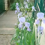 Iris Garden Saint-Germain-en-Laye