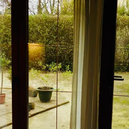 Guest house Iris Garden 3*