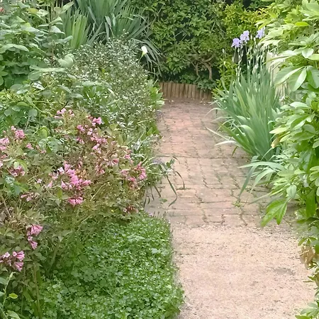Iris Garden 3*