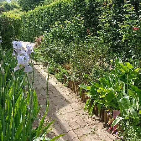 Iris Garden