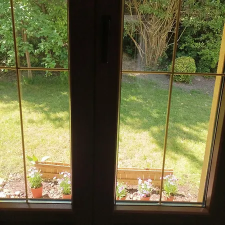 Iris Garden بيت ضيافة سا جيرما أو لي