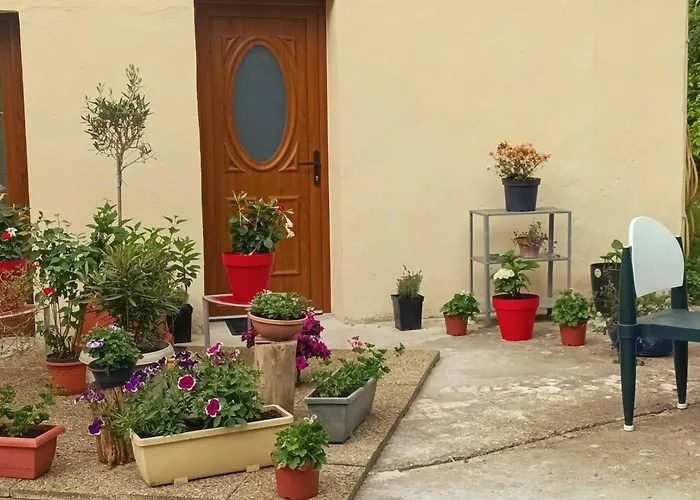 Iris Garden Guest house Saint-Germain-en-Laye
