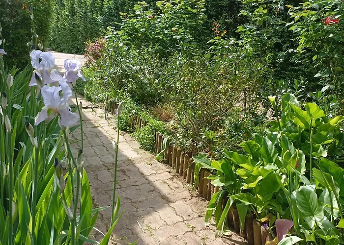 Iris Garden